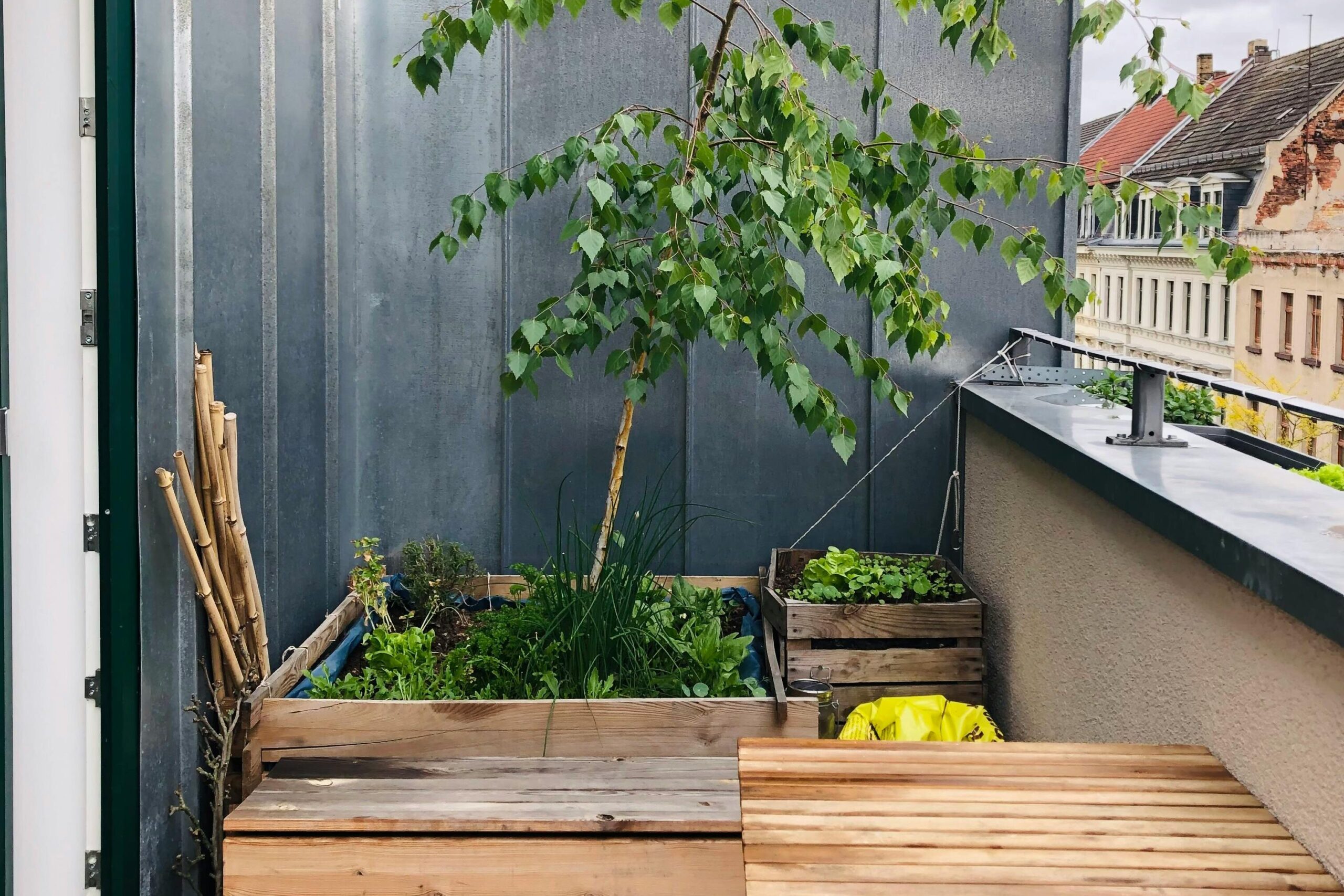 Cozy urban balcony featuring a lush tree and wooden table, perfect for relaxation.